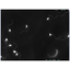 Analysis of Sperm Movement: Application Example of High-Speed Cameras