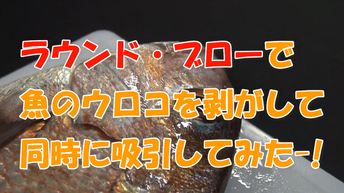 【動画】魚の鱗を吸引！ご家庭でもぜひ！ラウンド・ブロー