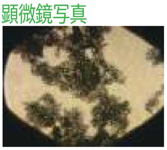 ナノカーボン・スメクタイト乳化