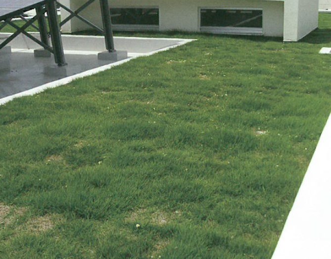 高耐久・高強度ウレタン防水システム『HCセルディシステム』