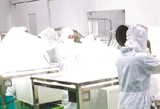 医薬用コンテナバック