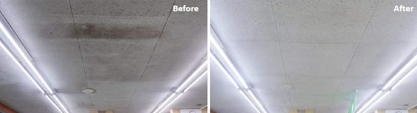 カビ除去サービス