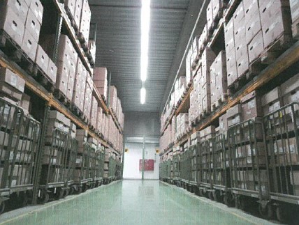 【欧州全域をサポート】輸送・輸出入オペレーションをご紹介します