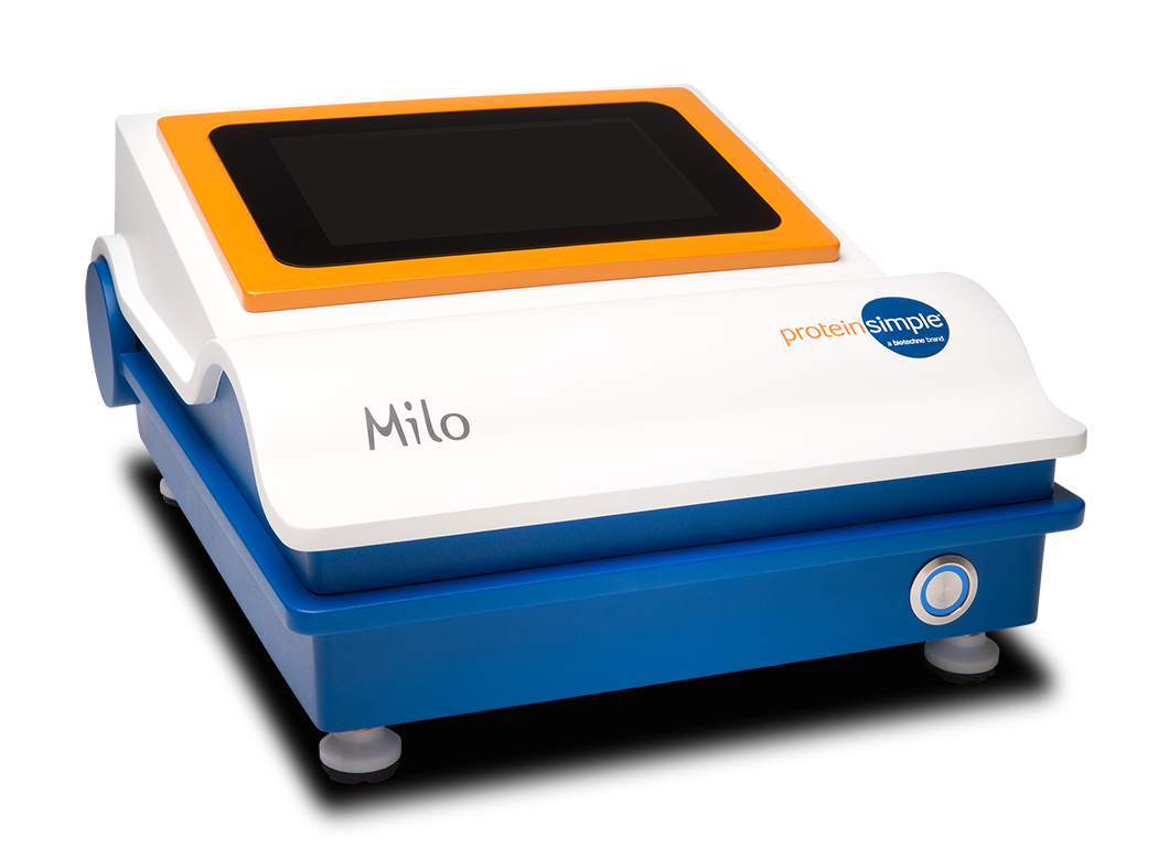 シングルセル ウェスタン　Milo