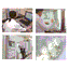 Japan Food Function Analysis Research Institute, Business Introduction