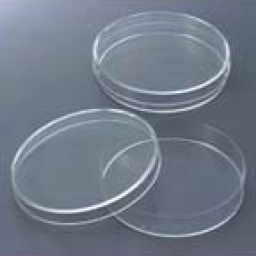 受託サービス『微生物迅速同定』