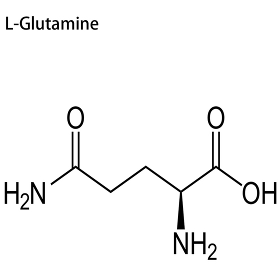 L-Glutamine.jpg