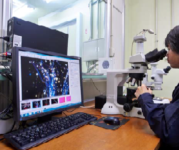 設計事務所様向け、法改正にもしっかり対応・「建材アスベスト分析」