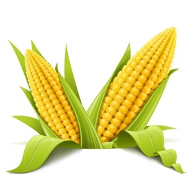終売:【とうもろこし由来】環境に優しい製造法のグリセリン誘導体
