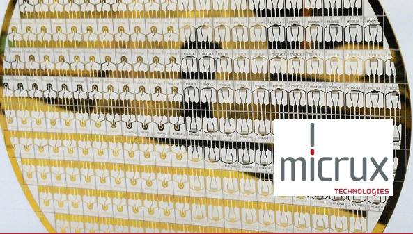 MicruX Technologies社マイクロ流路チップ