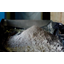 [Centrifuge Utilization Case] Sludge Recovery from Glass Processing Wastewater