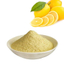 レモン果実パウダー 天然ビタミンC補給・食品 サプリ 化粧品原料