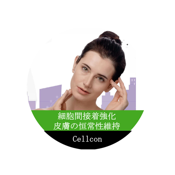 Cellcon表紙.jpeg