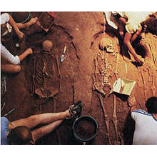 活動プロジェクト　アンコール王朝の起源