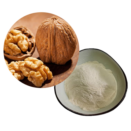 Walnut