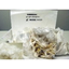 Blow-applied mortar crack suppression and reinforcement short fibers "Easy Fiber"