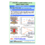 [Analysis Case] Measurement of Residual Stress in Metal Materials Before and After Load Application Using XRD