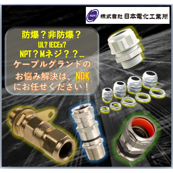 キャプチャ.JPG