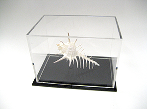 プラスチック加工サービス