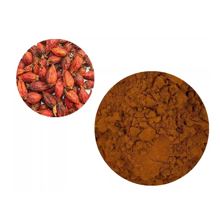 クチナシ（栀子）抽出物 天然色素・抗酸化・機能性食品素材 YOUCHANG