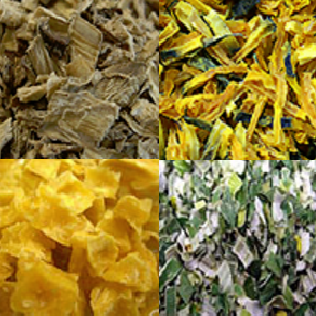 日華フーズ株式会社　事業紹介