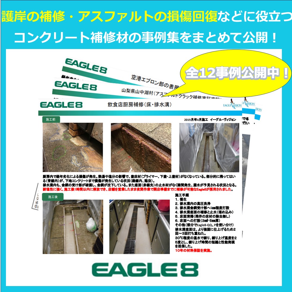 【事例集進呈中12件】耐塩性　高耐久性速硬化コンクリート補修材　