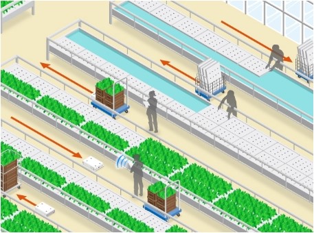 食品・植物工場における搬送作業の効率アップ　工場ソリューション