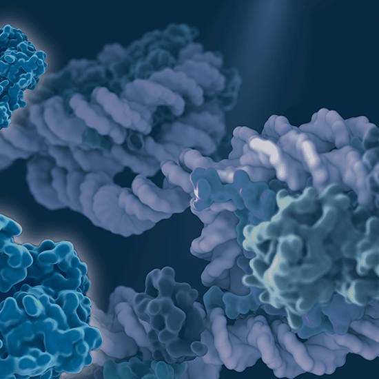 CSTのCUT＆Tag関連製品