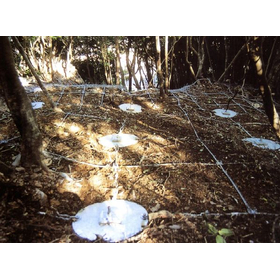 法面関連製品　「TFF（タフフレキシブルフレーム）」