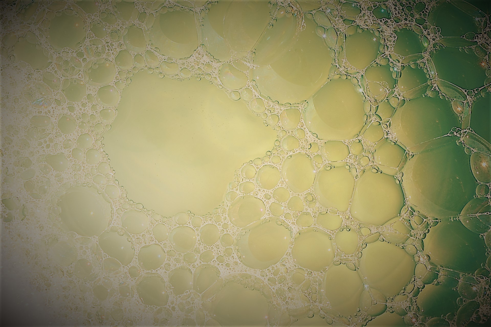 高温高アルカリ染色用シリコーン消泡剤『 AF 187』