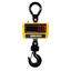 Digital wireless hanging scale M1411JS-Y100K-RF1010JY