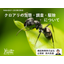 【資料】クロアリの生態・調査・駆除について
