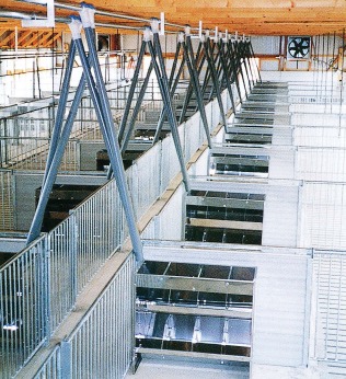 豚舎用自動給餌システム