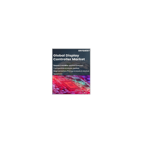[English Market Research Report] Global Market for Display Controllers