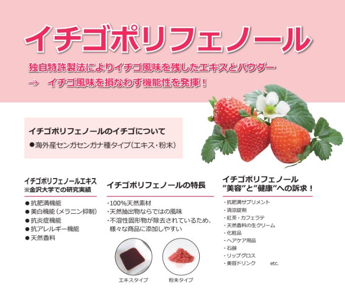 イチゴポリフェノール　イチゴ風味を残したエキスとパウダー