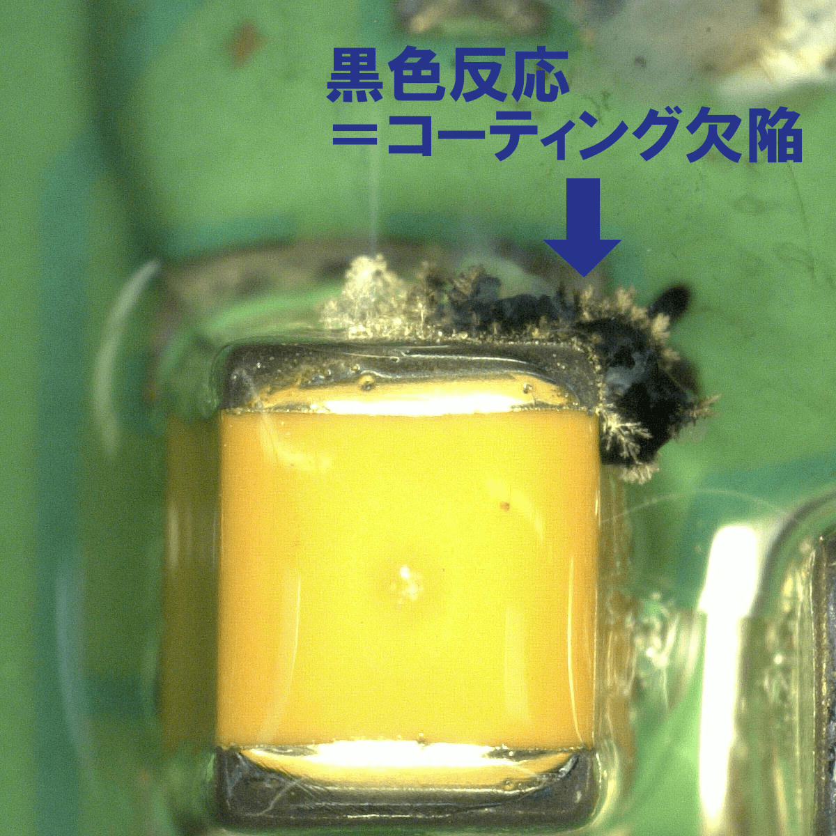 コーティング欠陥検出　Coating Layer Test