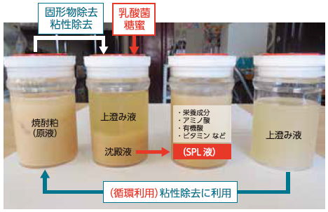 焼酎粕乳酸発酵液(SPL液)の飼料・肥料利用について