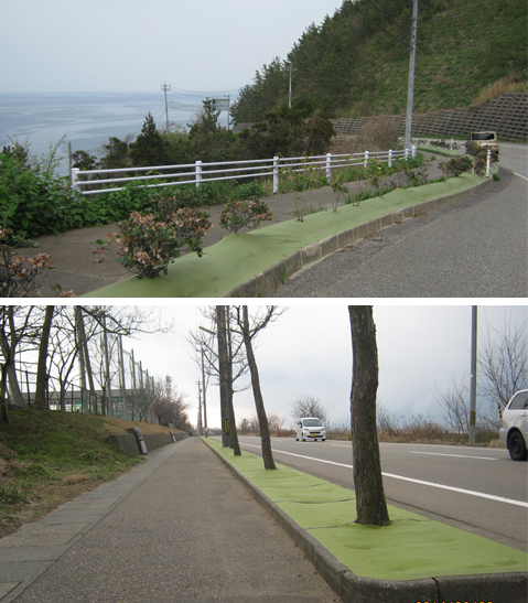 環境負荷に配慮した生分解性防草シート『お墨付き(R)』