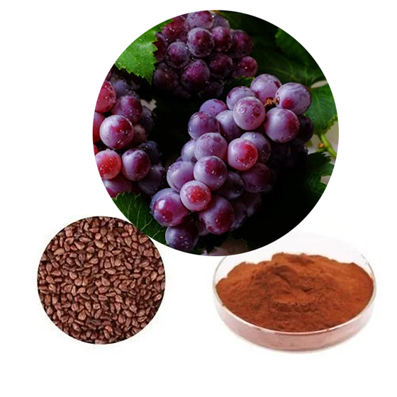 Grape Seed Extract.jpg
