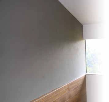 快適空間創造塗材 「P.S.P+α」