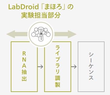 【ROBOT SHARING】トランスクリプトーム解析