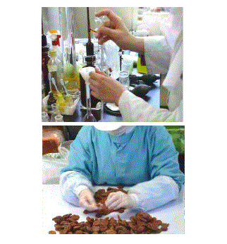 PB(プライベート)製品、OEM製品(請負生産)製造事業のご紹介