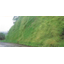 Slope Erosion Prevention Agent "Kuri Coat C-710"