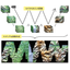 Image stitching system using matching and image synthesis technology *Demo video available