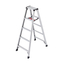 Ladder "Lightweight RZ"