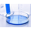 [Sample Presentation] Alpon K Multi-Purpose Liquid Detergent Commercial Cleaning Agent