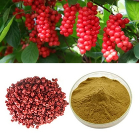 Schisandra Extract.jpg