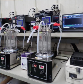 微生物の培養受託