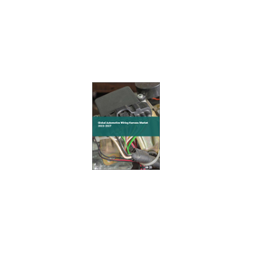 [English Market Research Report] Gl...