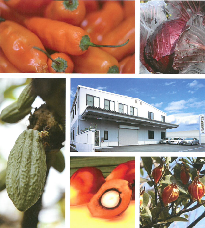 神戸化成ラインナップ一覧